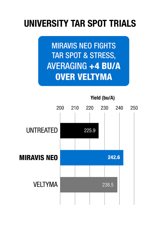 University Tar Spot Trials. Miravis Neo fights tar spot & stress, averaging +4 bu/A over Veltyma. Untreated, 225.9 bu/A. Miravis Neo, 242.6 bu/A. Veltyma, 238.5 bu/A