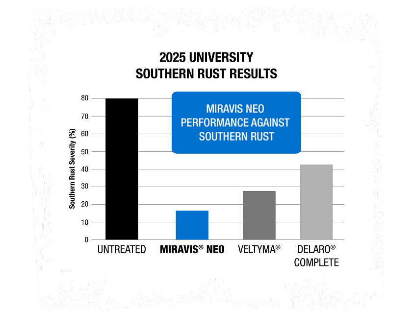 2025 University Southern Rust results. Miravis Neo shuts down Southern Rust. Untreated. Miravis Neo. Veltyma. Delaro Complete.