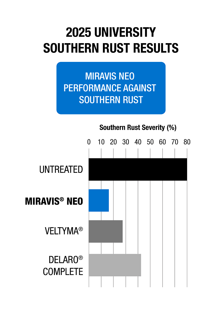 2025 University Southern Rust results. Miravis Neo shuts down Southern Rust. Untreated. Miravis Neo. Veltyma. Delaro Complete.