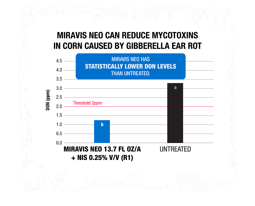 Miravis Neo can reduce mycotoxins in corn caused by Gibberella Ear Rot. Miravis Neo has statistically lower don levels than untreated. Miravis Neo, 13.7 fl oz/a + NIS 0.25% V/V (R1). Untreated.
