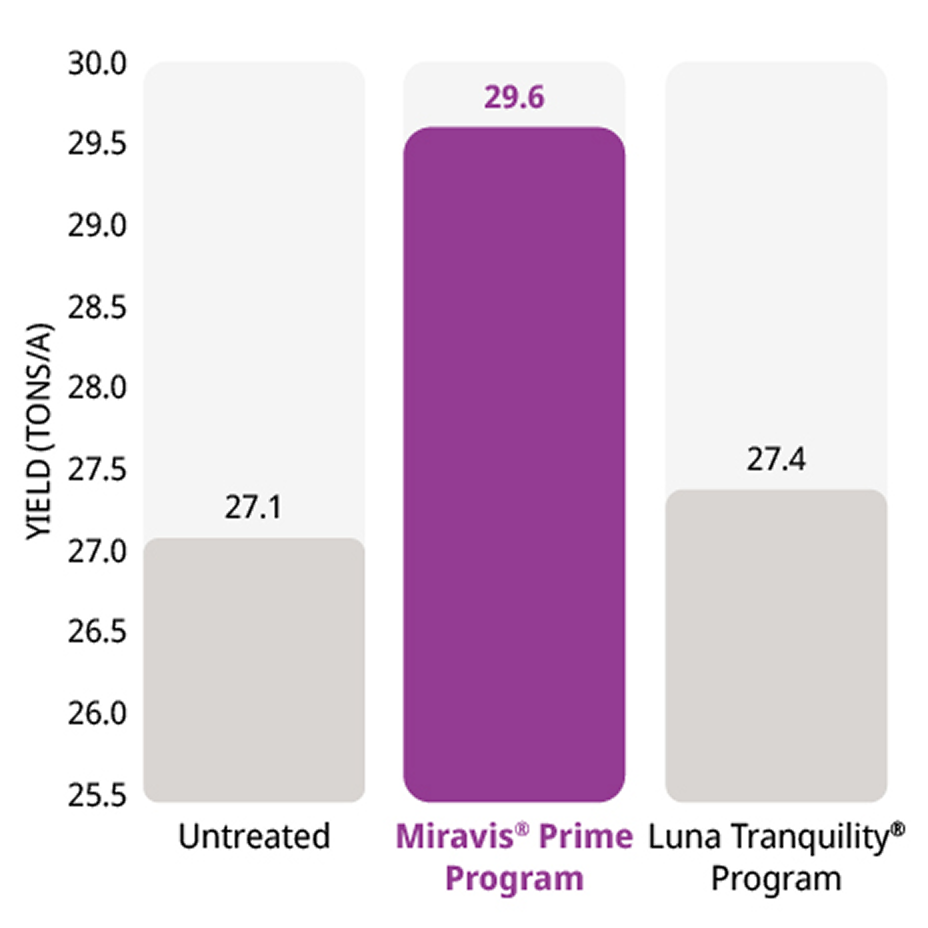 Miravis Prime delivers higher yield potential when early blight is present