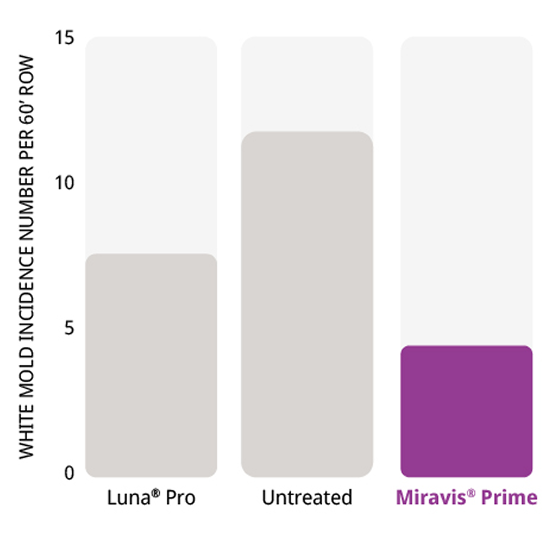 Miravis Prime provides outstanding control of white mold in potatoes
