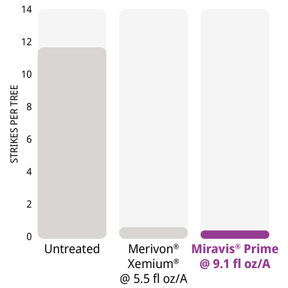 Miravis Prime reduces brown rot blossom blight in California almonds