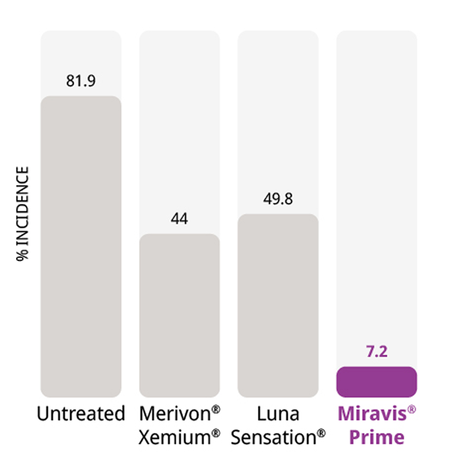 Miravis Prime controls Botrytis incidence in blooms