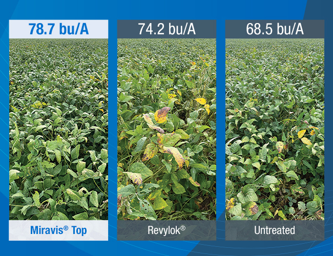 Miravis Top fungicide outyields Revylok by 4.5 bushels under target spot and brown leaf spot of soybean pressure.