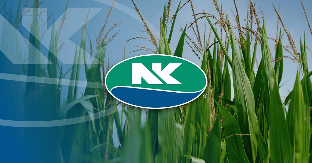 NK Corn Seeds | Syngenta US