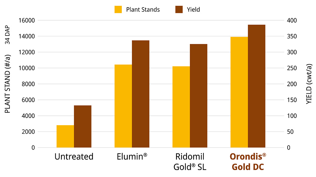 Improved Potato Yield Potential and Plant Stands