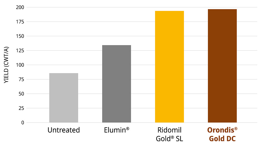 More Marketable Yield Potential in the Face of Pythium Pathogens