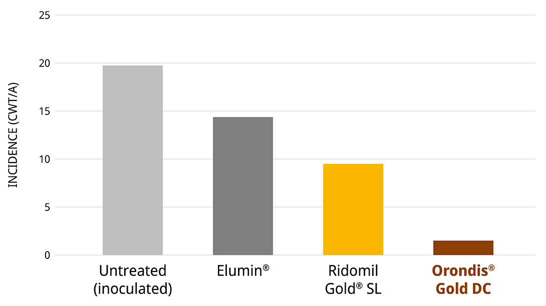 Pink Rot Control in Potatoes with Orondis Gold DC