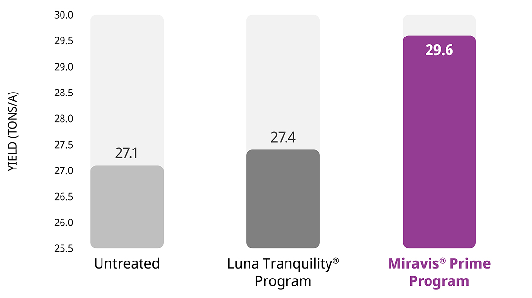 Miravis Prime Delivers Higher Yield Potential When Early Blight is Present