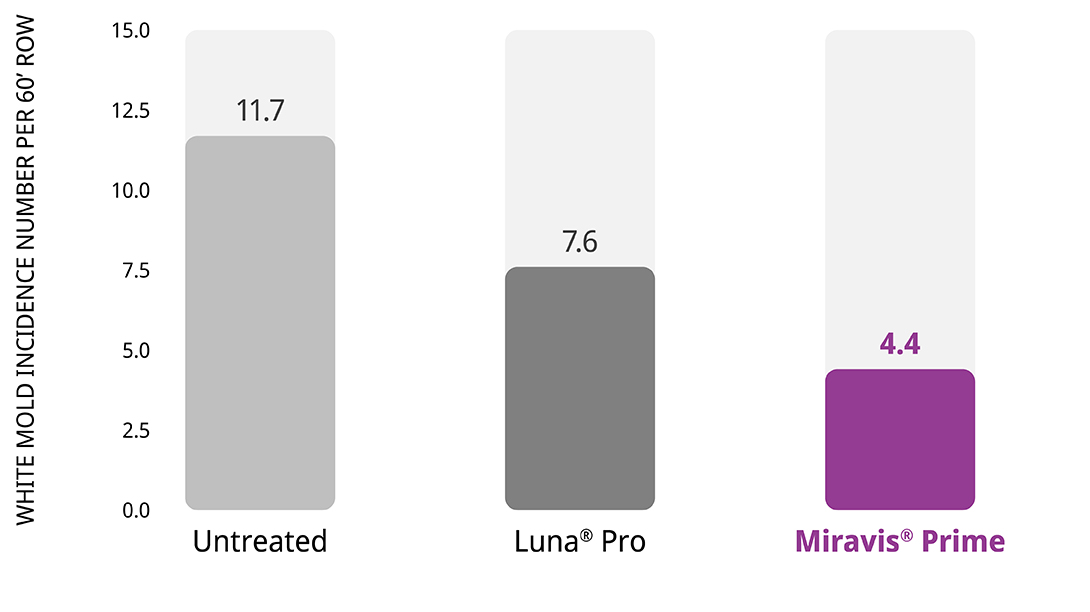 Miravis Prime Provides Outstanding Control of White Mold in Potatoes
