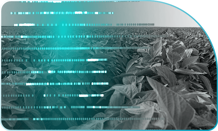 field with dna strips overlaid