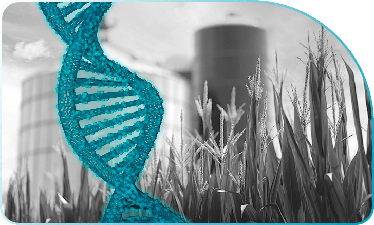 dna strand with farm in background
