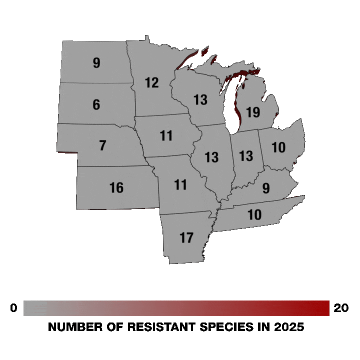 Resistance Fighter Map