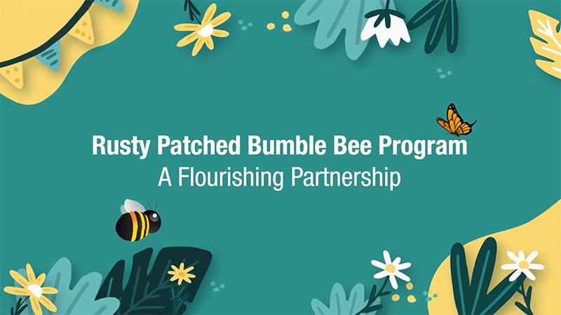 A Flourishing Partnership