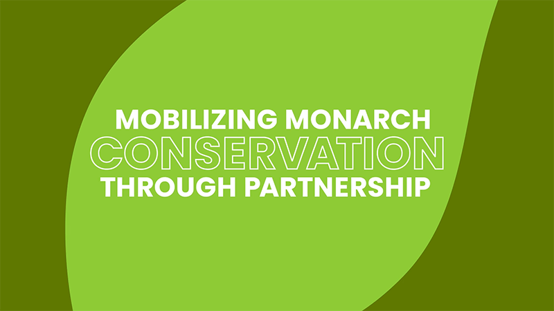 Mobilizing Monarch Conservation