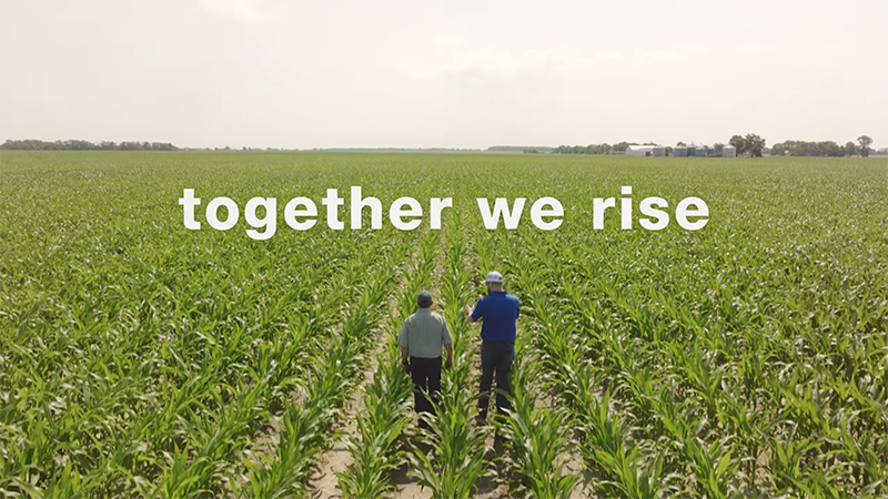 Together We Rise