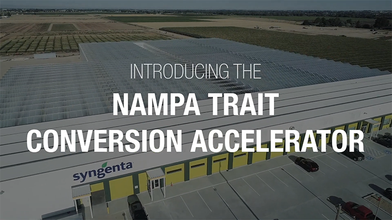 Trait Conversion Accelerator, Nampa, Idaho