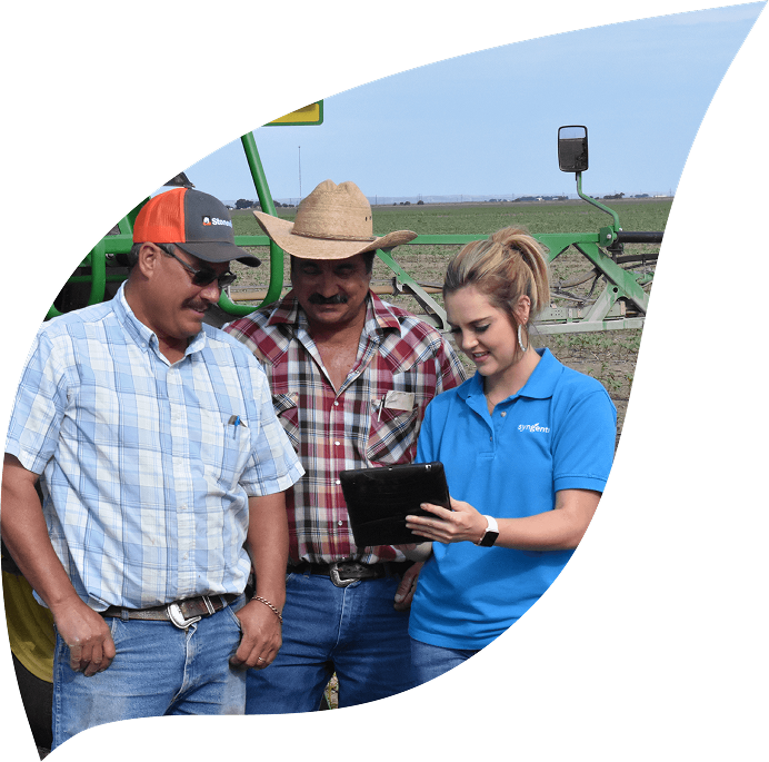 A group of three people looking at a tablet held by a Syngenta employee