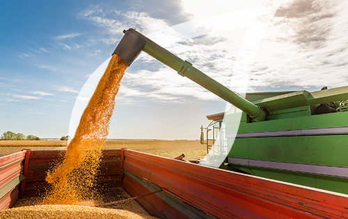 A combine auger unloading harvested grain into a trailer