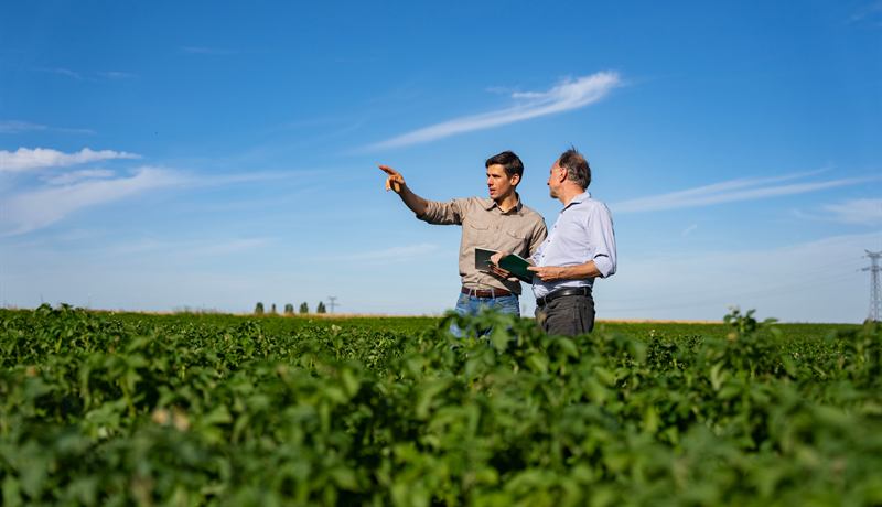 Two men talking in a soybean field, one pointing toward the horizon
