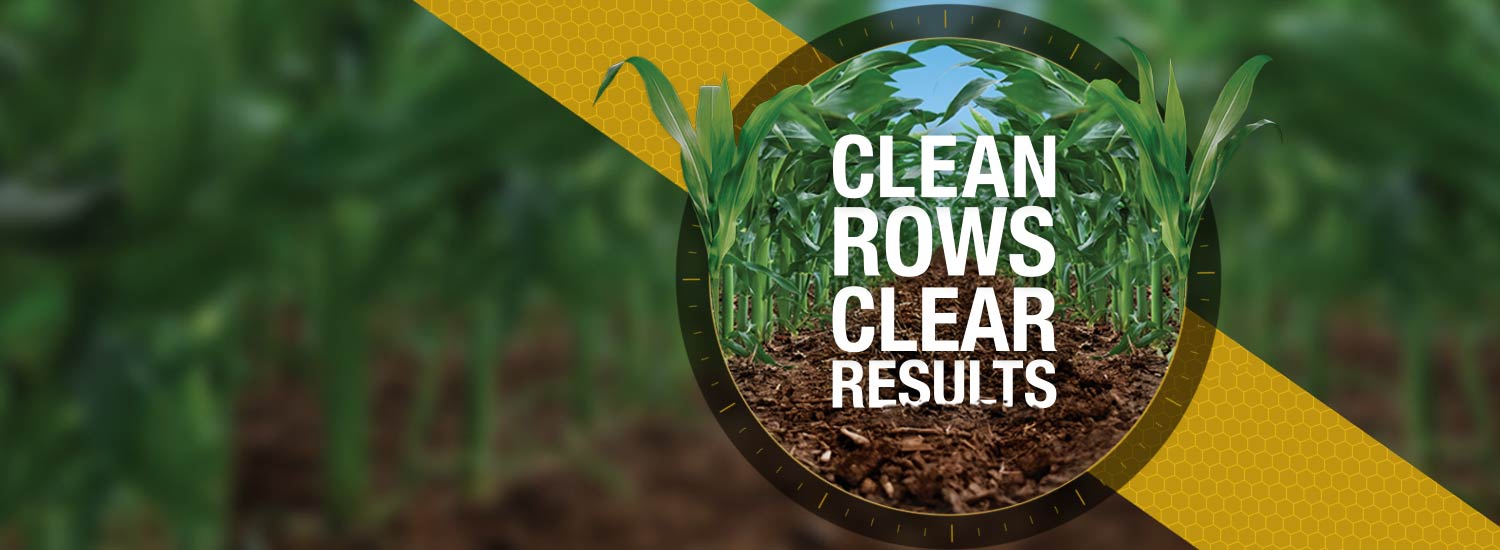 Storen - Herbicide Product & Label Information | Syngenta US