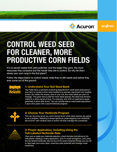 Control the Weed Seed Sheet