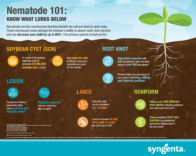 Syngenta Seedcare has the right solution for your fields—no matter the pressure or weather.