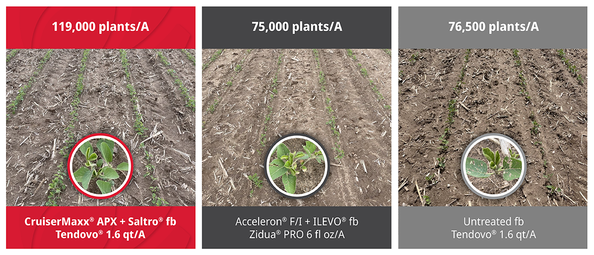 Higher Stands, Healthier Plants, More Value.