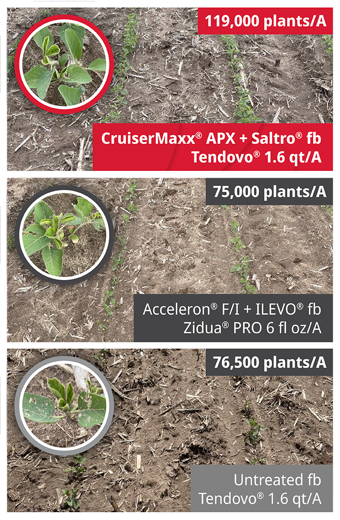 Higher Stands, Healthier Plants, More Value.