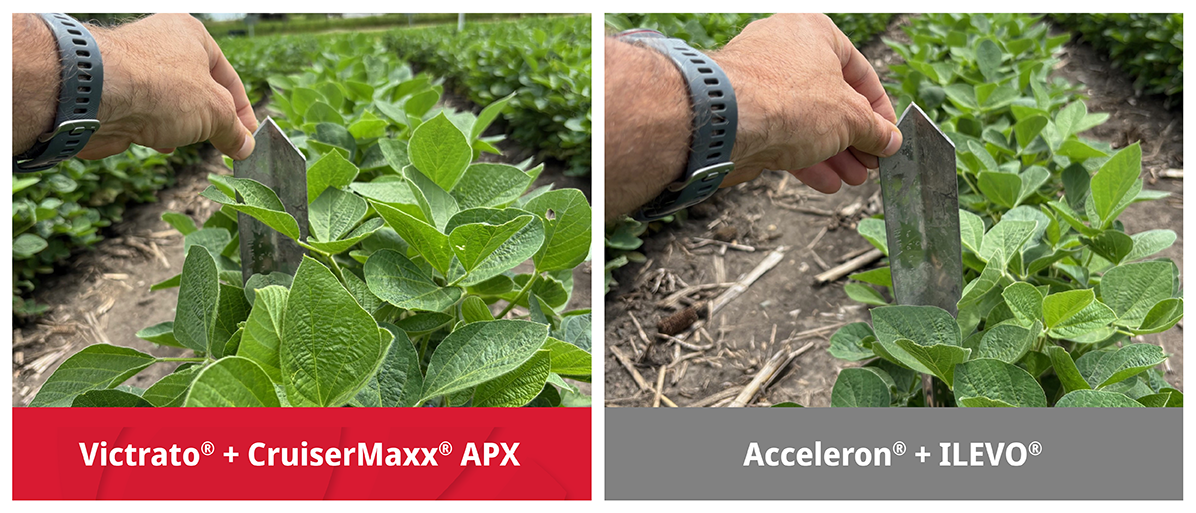 Give Your Soybeans A Head Start For Higher Yields.
