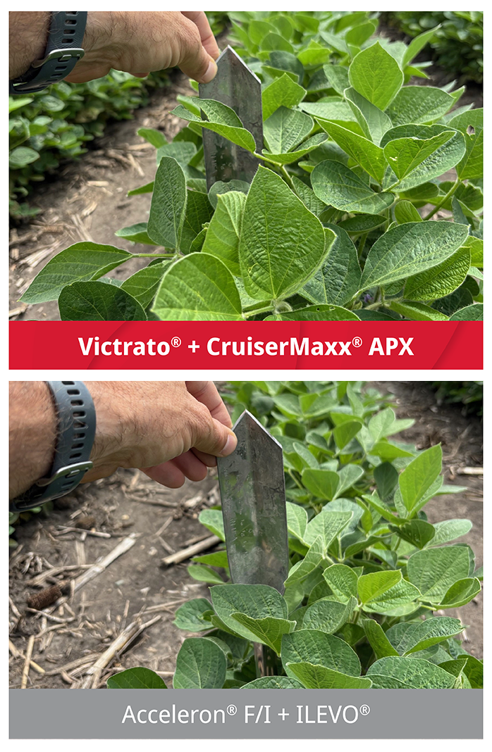 Give Your Soybeans A Head Start For Higher Yields