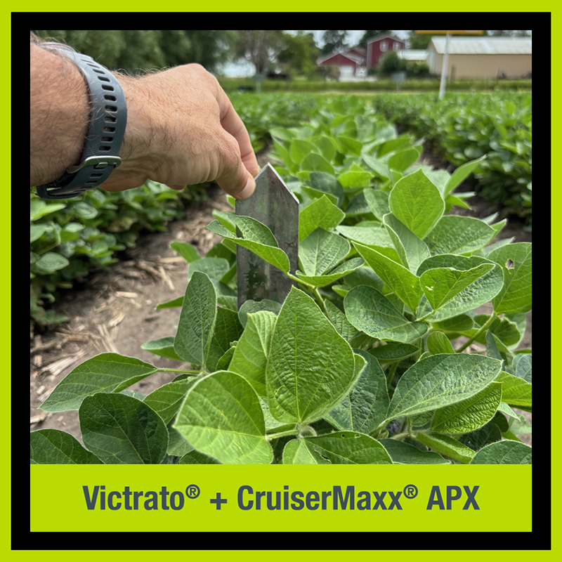 Victrato + CruiserMaxx APX