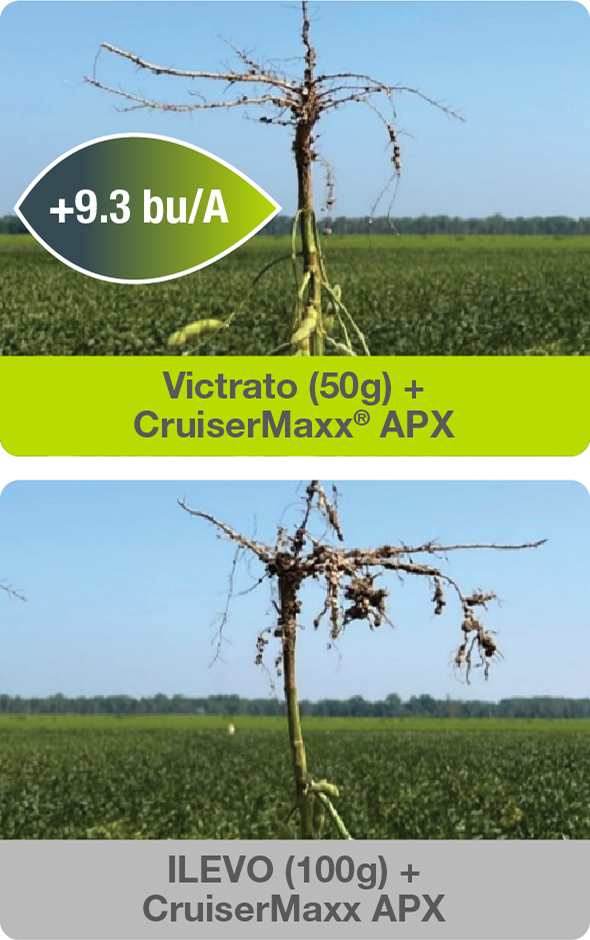 King of Nematode Protection