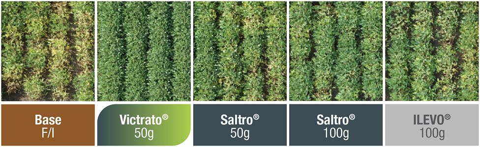 Jackpot Protection Against RCR