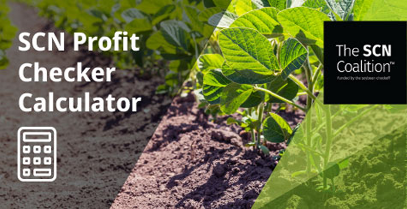 SCN Profit Checker Calculator | The SCN Coalition