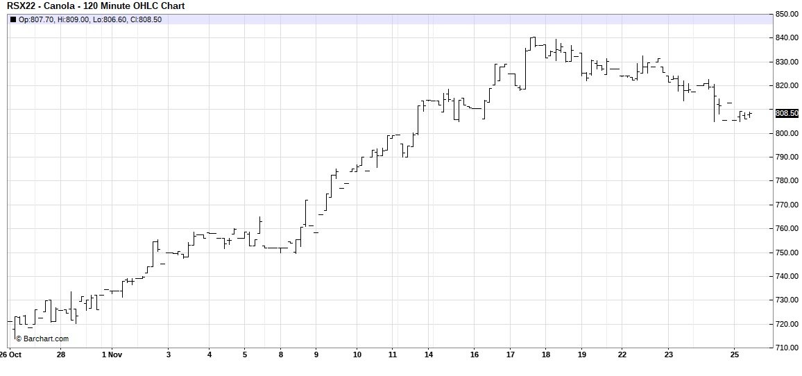 November 2022 canola
