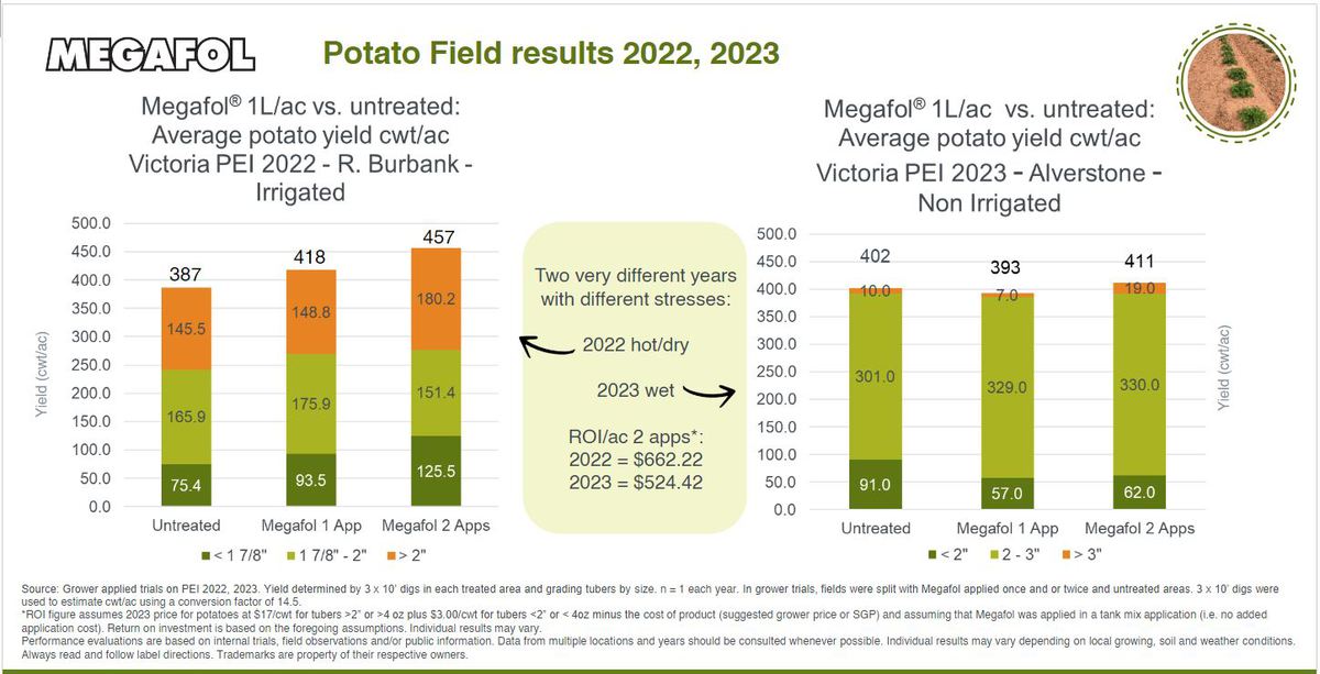 Megafol Potato Visual