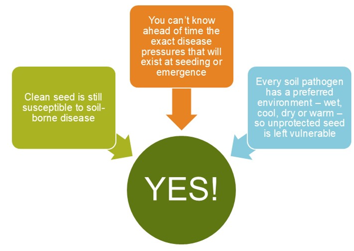 Seedcare decision graphic