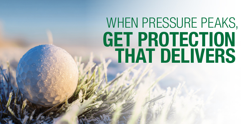 Instrata fusion banner