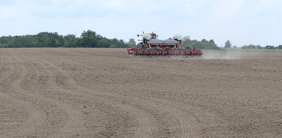 soybean planter
