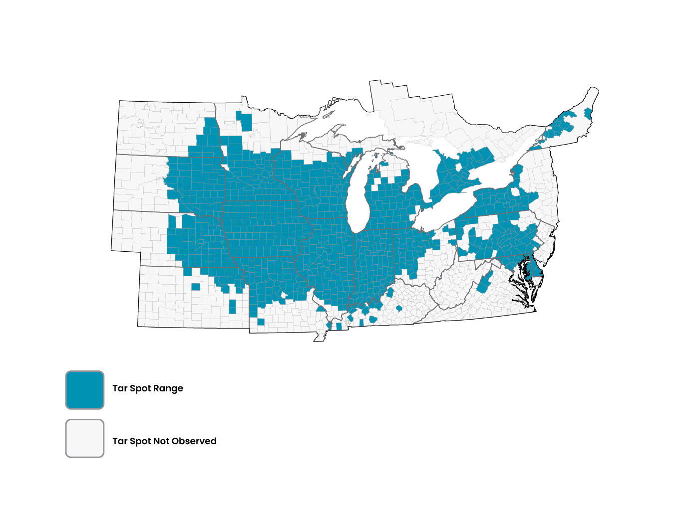Map showing which counties in several states have or previously had tar spot outbreaks in corn fields.