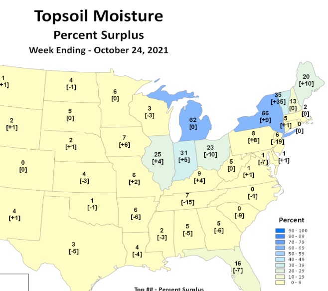 Topsoil moisture