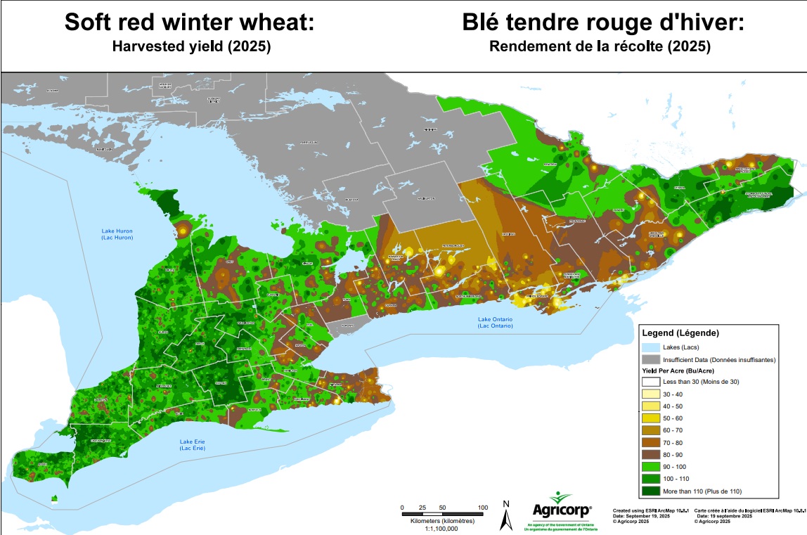 Ontario winter wheat yields